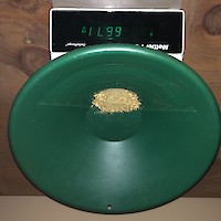 Gold Images Related to August 11, 2020 News